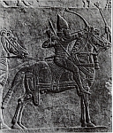 Image agrandie (560 ko)
